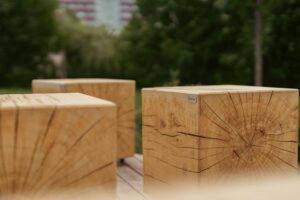 Fotograaf Merily Lillevälja